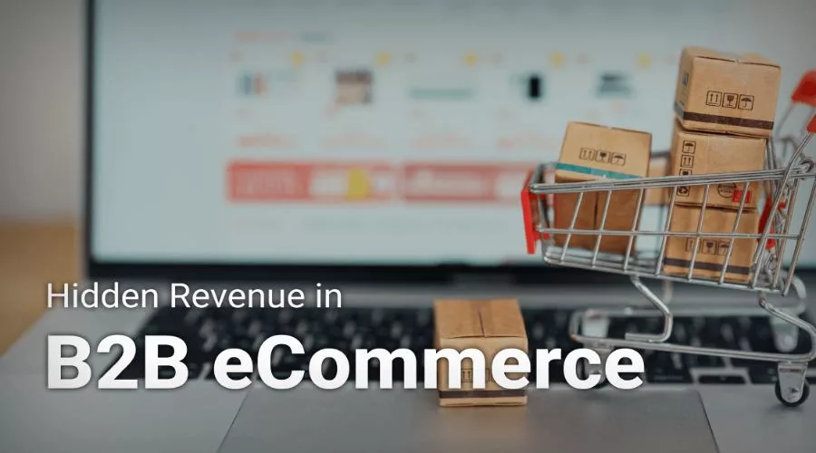 Captures Hidden B2B Commerce Revenue