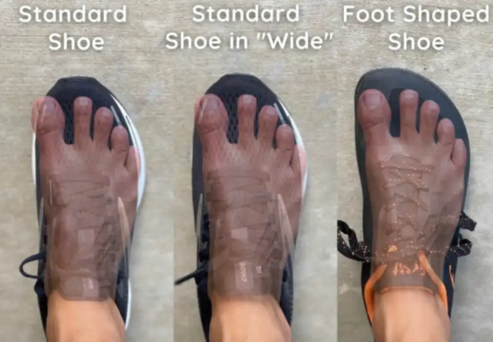 Evaluate Support and Fit