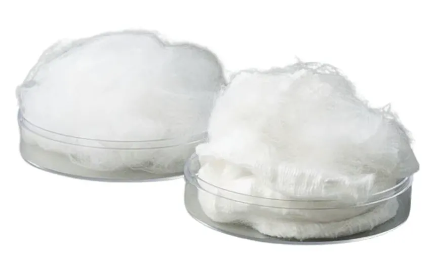 Two glass dishes holding white modacrylic fiber samples