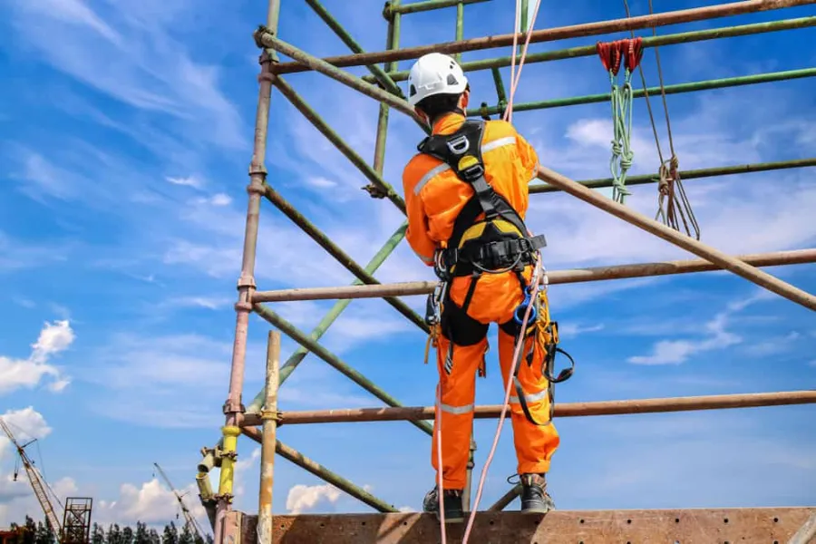 Safety Harnesses Buying Guide: Stop Wasting Money on Cheap Gear