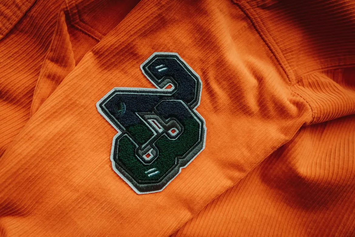 Applique Embroidery embroidery technique close-up
